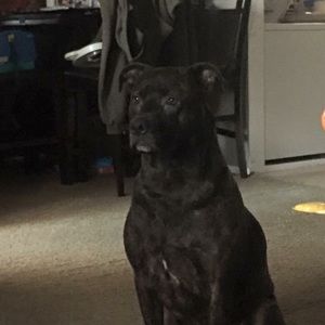 Meet your Posher, Clark